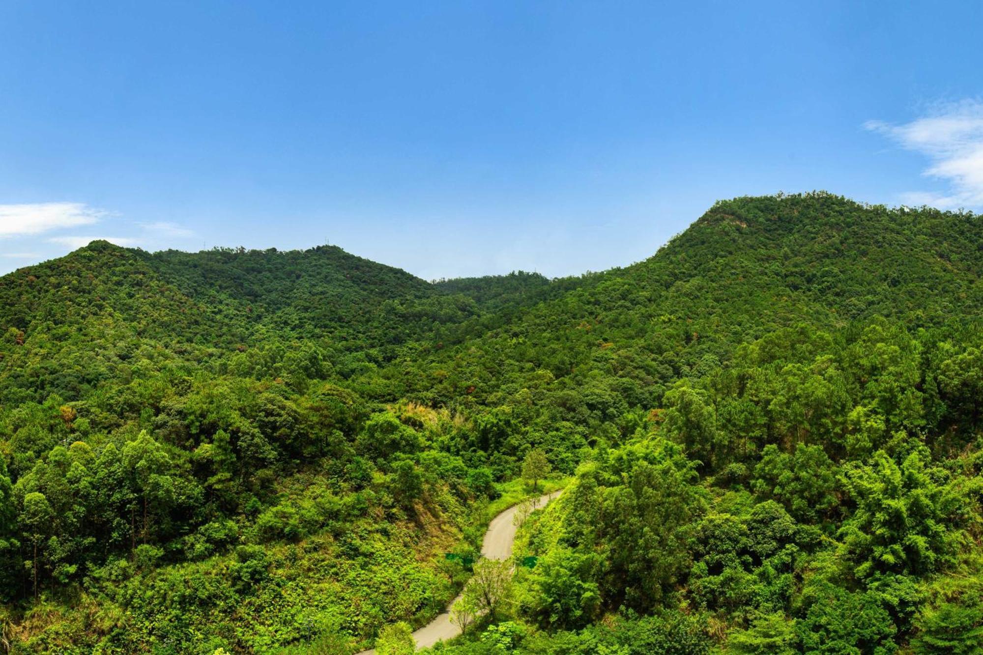 Four Points By Sheraton Guangdong, Heshan Heshan  Экстерьер фото